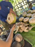 Boracay - Motag, das lebende Museum &ndash; &copy; Sabine Letzybyll (Eberhardt TRAVEL)