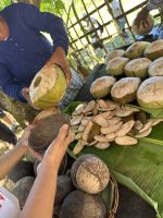 Boracay - Motag, das lebende Museum &ndash; &copy; Sabine Letzybyll (Eberhardt TRAVEL)