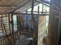 Boracay - Motag, das lebende Museum &ndash; &copy; Sabine Letzybyll (Eberhardt TRAVEL)