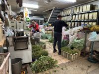 Kräuter Straße &ndash; &copy; Sabine Letzybyll (Eberhardt TRAVEL)