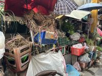 Kräuter Straße &ndash; &copy; Sabine Letzybyll (Eberhardt TRAVEL)