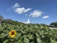 Insel Okinawa- Naha - Peace Memorial Park &ndash; &copy; Sabine Letzybyll (Eberhardt TRAVEL)
