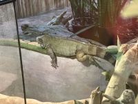 Osaka - Einkaufszentrum im Hafen &ndash; &copy; Sabine Letzybyll (Eberhardt TRAVEL)