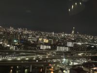 Osaka - Blick vom Riesenrad &ndash; &copy; Sabine Letzybyll (Eberhardt TRAVEL)