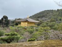 Kyoto - Goldener Tempel &ndash; &copy; Sabine Letzybyll (Eberhardt TRAVEL)