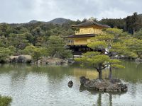 Kyoto - Gelände vom Goldenen Tempel &ndash; &copy; Sabine Letzybyll (Eberhardt TRAVEL)