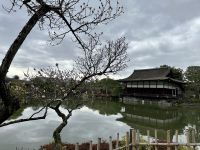 Kyoto &ndash; &copy; Sabine Letzybyll (Eberhardt TRAVEL)