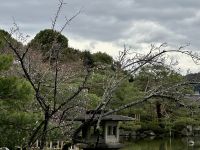 Kyoto &ndash; &copy; Sabine Letzybyll (Eberhardt TRAVEL)
