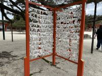 Kyoto &ndash; &copy; Sabine Letzybyll (Eberhardt TRAVEL)