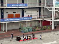 Osaka &ndash; &copy; Sabine Letzybyll (Eberhardt TRAVEL)