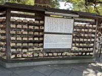 Tokio &ndash; &copy; Sabine Letzybyll (Eberhardt TRAVEL)