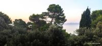 006 Morgen in Petrcane