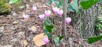 03-21 Krka NP