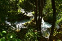 036 NP Krka