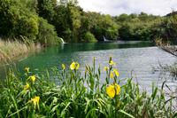 057 NP Krka