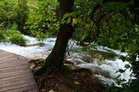 060 Krka NP