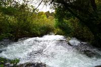 062 Krka NP