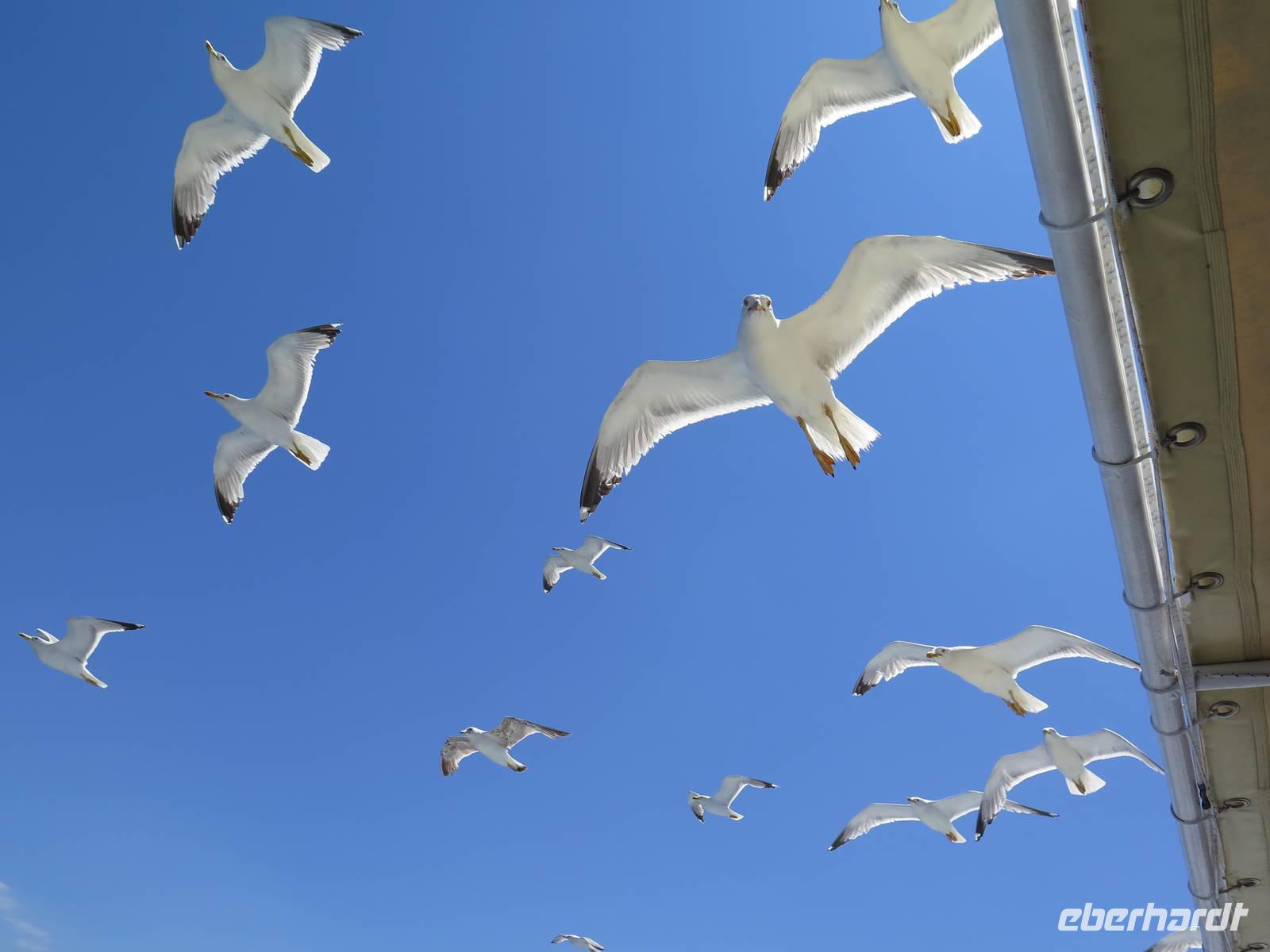 Nach unserer Fischmahlzeit