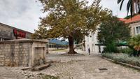106 Halbinsel Peljesac, Veliki Ston