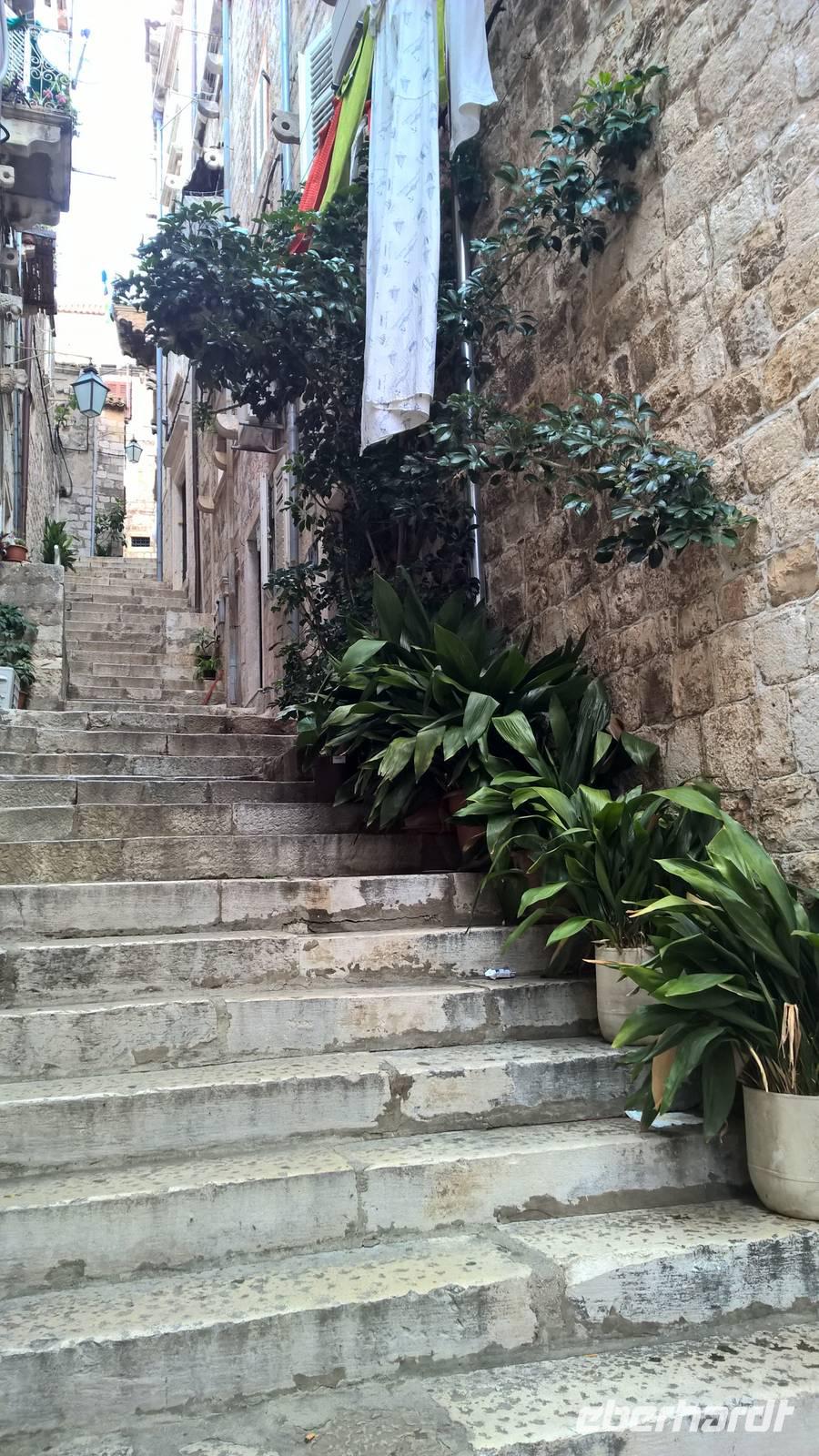 Bepflanzte Gassen in Dubrovnik