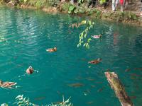 Nationalpark Plitvice