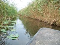 Bootsfahrt auf der Neretva