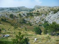 Blick zum Vosac 1422 m