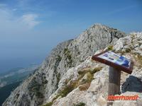 Aussicht in 1200 m Höhe