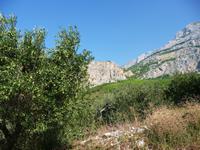 Landschaft bei Tucepi