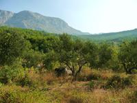 Landschaft bei Tucepi