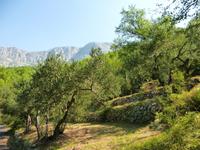 Landschaft bei Tucepi