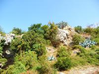 Landschaft bei Tucepi