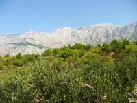 Landschaft bei Tucepi