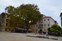 015 Zadar, Brunnenplatz