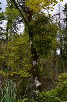 108 NP Plitvicer Seen