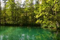 121 NP Plitvicer Seen