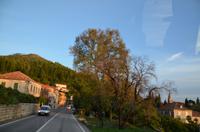 199 Trsteno, Aboretum