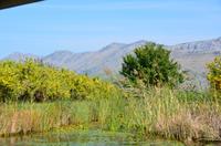 243 Neretvadelta, Bootsfahrt