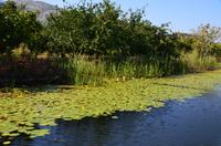 244 Neretvadelta, Bootsfahrt