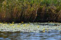 246 Neretvadelta, Bootsfahrt