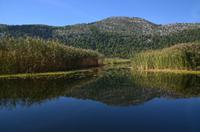 247 Neretvadelta, Bootsfahrt