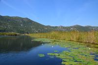 249 Neretvadelta, Bootsfahrt