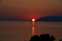 267 Tucepi, Hotel Alga