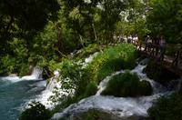 134 NP Krka