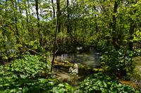 043 NP Plitvicer Seen