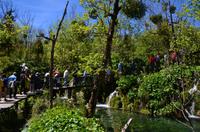 065 NP Plitvicer Seen