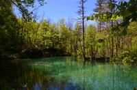 078 NP Plitvicer Seen