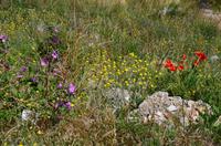 171 Biokovo-Makarska Riviera, Vruja-Bucht