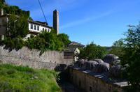 179 Herzegowina, Pocitelj