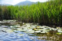 206 Neretvadelta, Bootsfahrt Villa Neretva